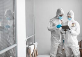 الشركة الالمانية